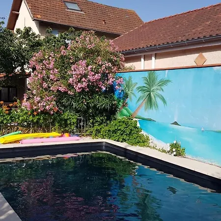Appart Independant, 1 Lit Deux Personnes Et 1 Appoint Piscine Jardin Direct Gare Aeroport Et Jardin Toulouse Exterior foto