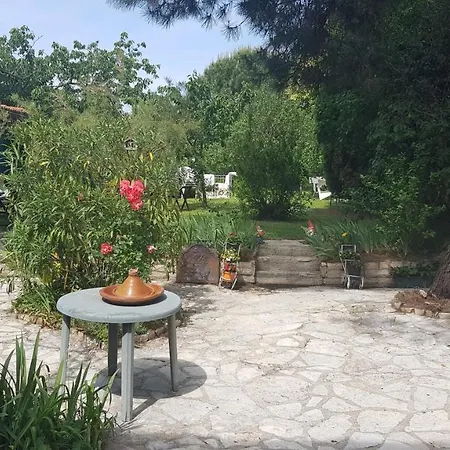 Appart Independant, 1 Lit Deux Personnes Et 1 Appoint Piscine Jardin Direct Gare Aeroport Et Jardin Toulouse Exterior foto