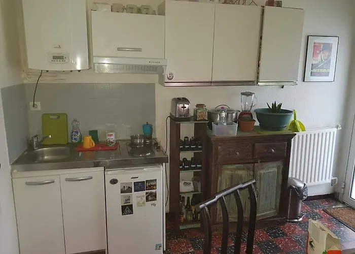 Appart Independant, 1 Lit Deux Personnes Et 1 Appoint Piscine Jardin Direct Gare Aeroport Et Jardin