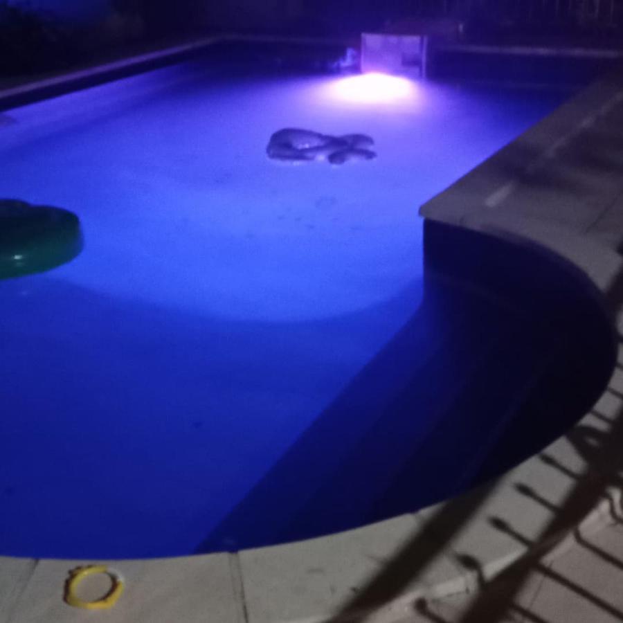Independant, 1 Lit Deux Personnes Et 1 Appoint Piscine Jardin Direct Gare Aeroport Et Jardin Apartment Toulouse