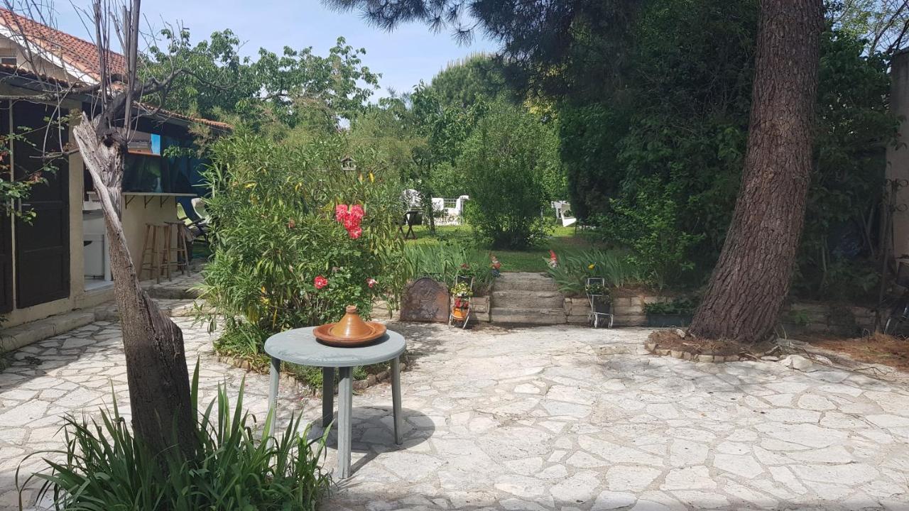 Independant, 1 Lit Deux Personnes Et 1 Appoint Piscine Jardin Direct Gare Aeroport Et Jardin